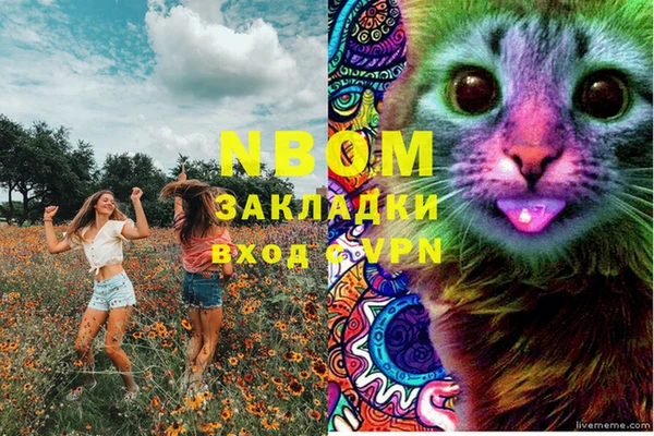 альфа пвп Баксан